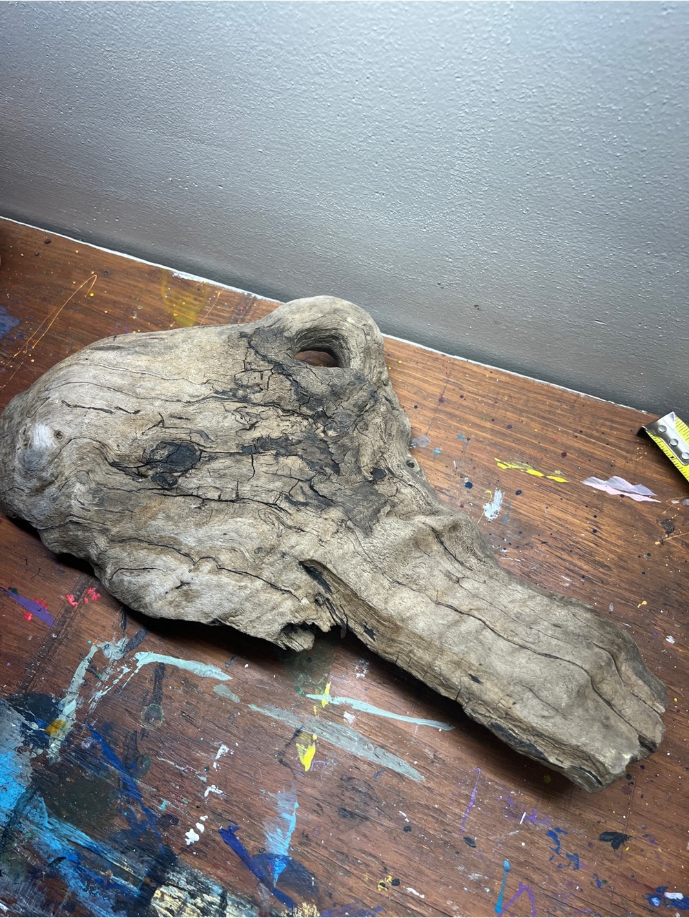 Natural Driftwood Aquarium & Terrarium Decoration - Brown found on James River